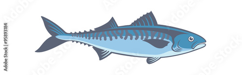  fish mackerel