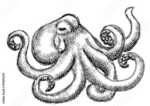 octopus black and white
