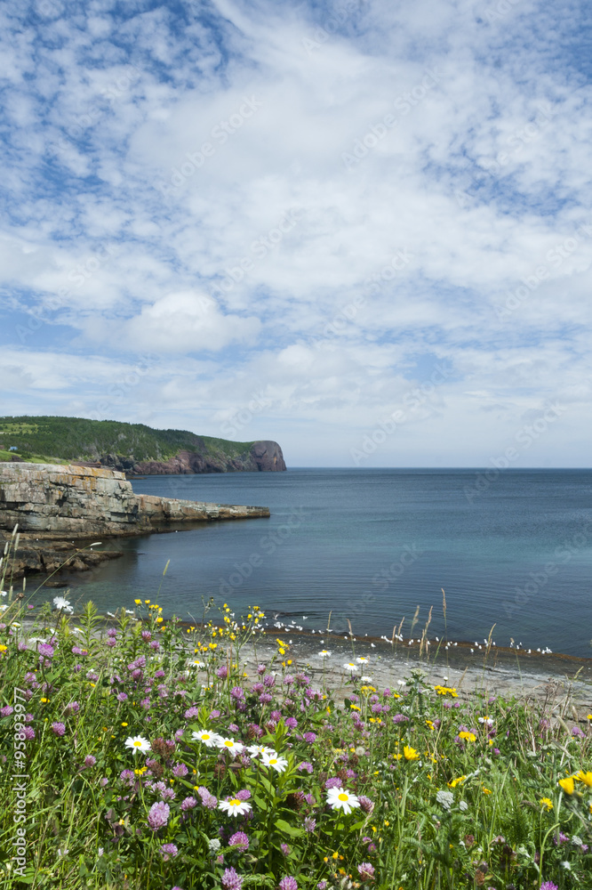 Beautiful view of St. John's Peninsula in Newfoundland and Labra
