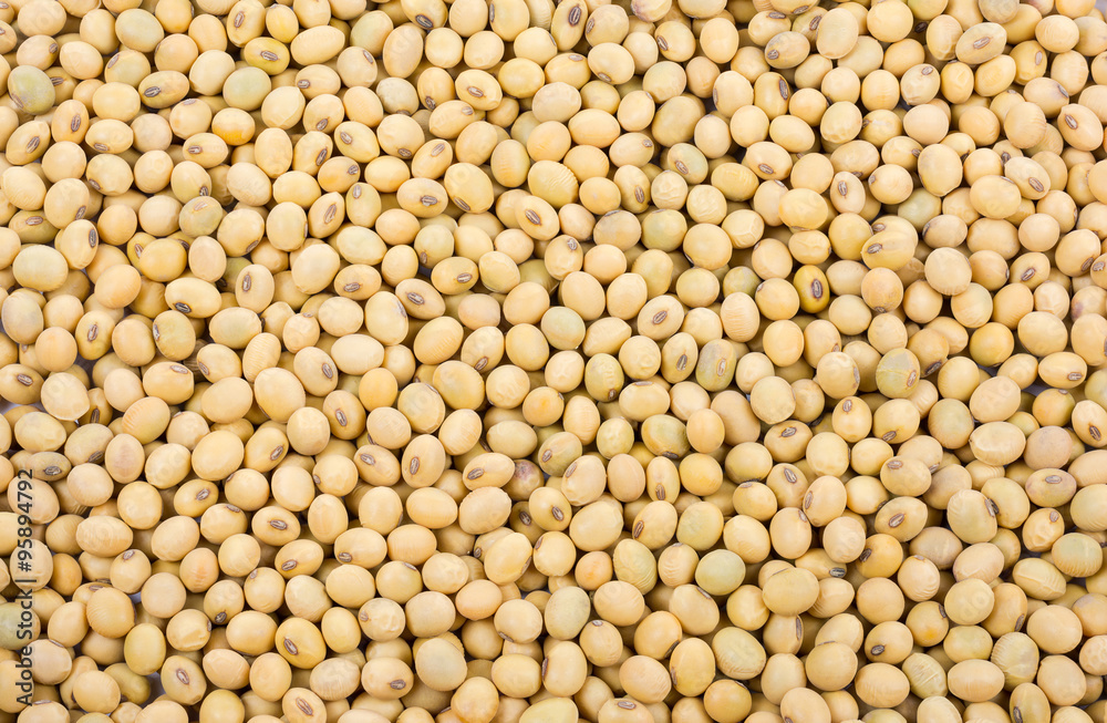 Close up shot of soybeans food background. Close up shot of soybeans food background.