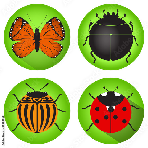 Insects. Set of icons. Butterfly, scarab beetle, Colorado potato beetle, ladybug.