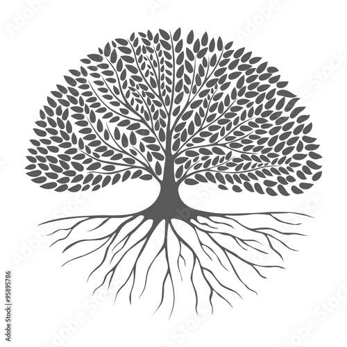 Black and white drawing of deciduous tree. Black silhouette. Vector image.