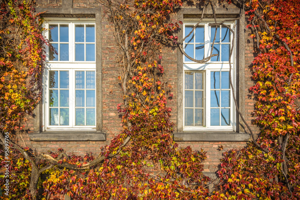 Autumn window in a Gothic building as background