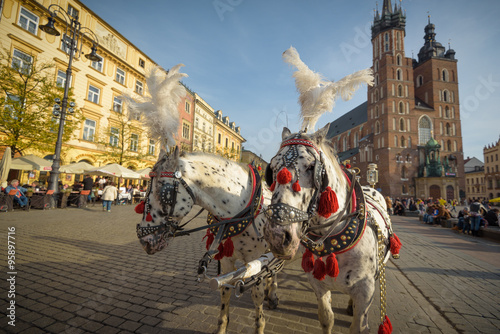 Fototapeta Naklejka Na Ścianę i Meble -  KRAKOW, POLAND - November 13, 2015: Horse carriages at main squa