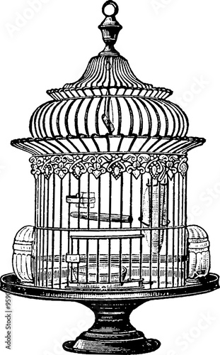 Fotografie, Tablou Vintage drawing bird cage