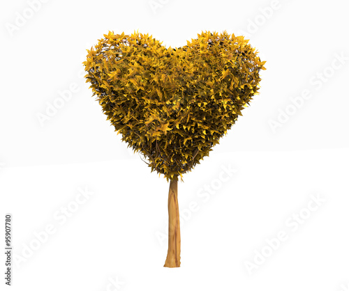 heart shaped tree with autumn leaves