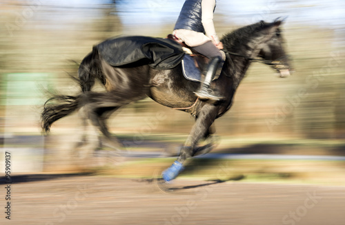 Fototapeta Naklejka Na Ścianę i Meble -  Galloping dark horse