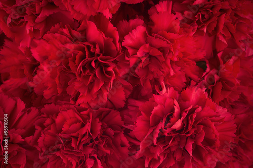 Bouquet of red flowers carnation for use as nature background.