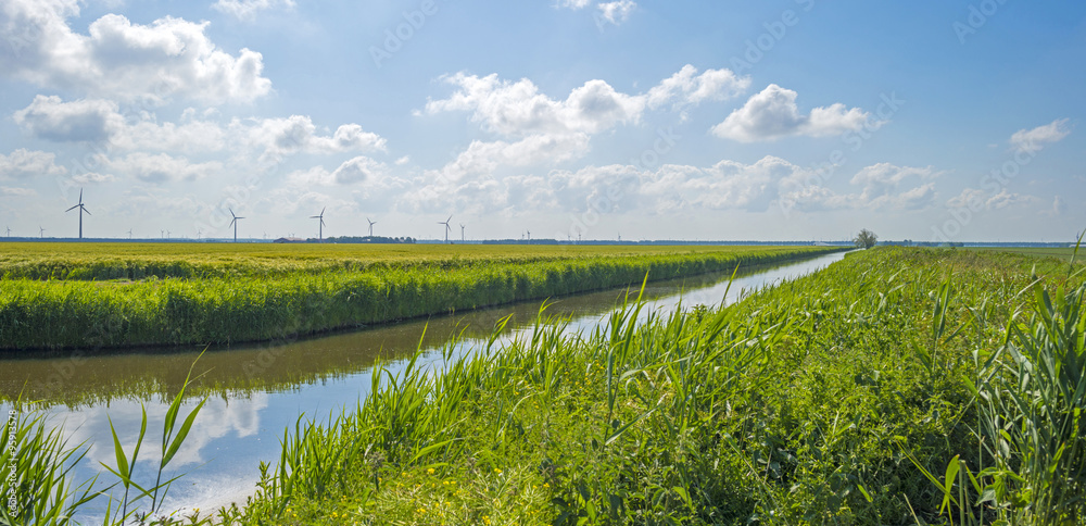 Canal through a rural landscape in summer
