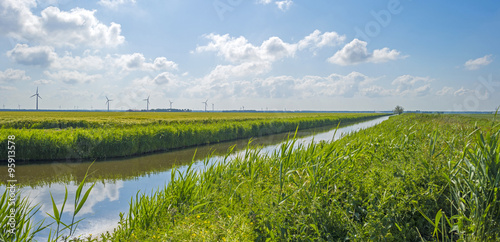 Canal through a rural landscape in summer 
