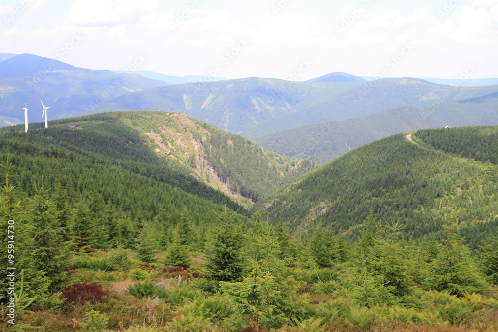 czech forest country (Jeseniky mountains)