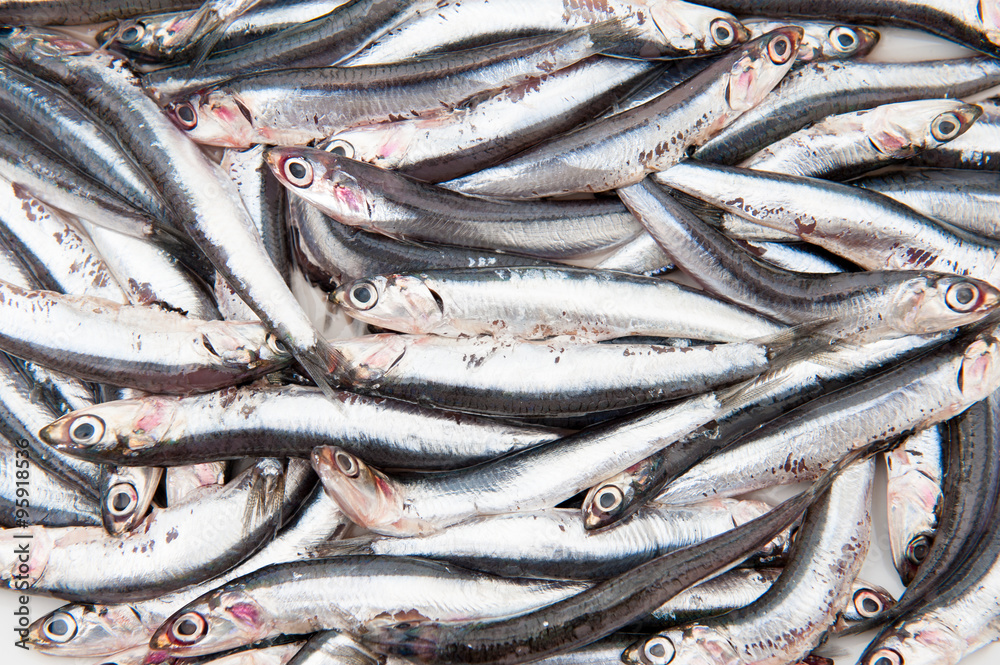 Texture full of many fresh raw anchovy Texture full of many fresh raw anchovy