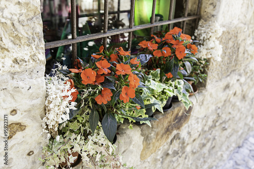 Fototapeta Naklejka Na Ścianę i Meble -  Pots with red flowers