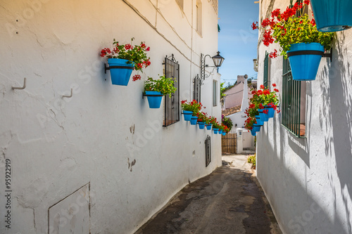 Picturesque street of Mijas with flower pots in facades. Andalus