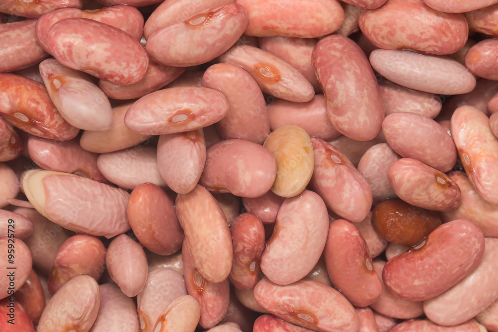 red beans macro