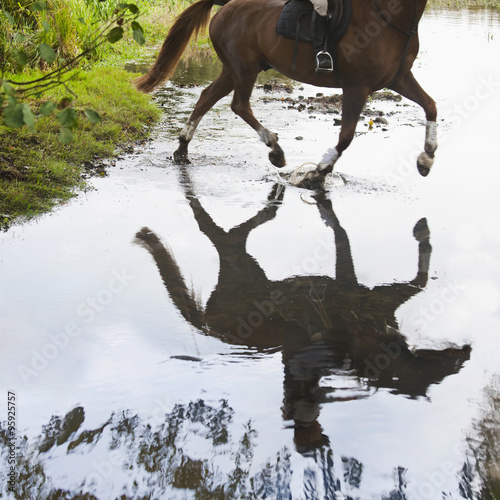 Horse and rider cross a shallow river