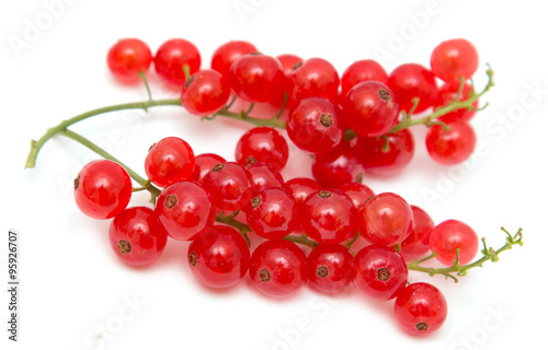 Ripe red currant on a white background