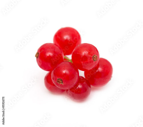 Ripe red currant on a white background