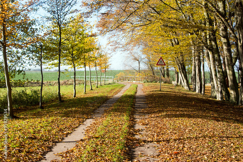 Plattenweg im Herbst photo