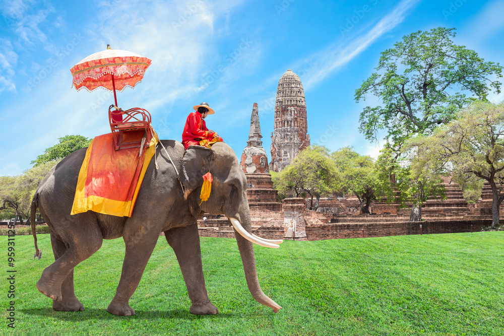 Obraz premium Elephant for Tourists in Ayutthaya, Thailand.