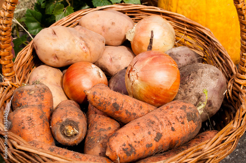 onions, potatoes, carrots, buriak lying in a basket photo