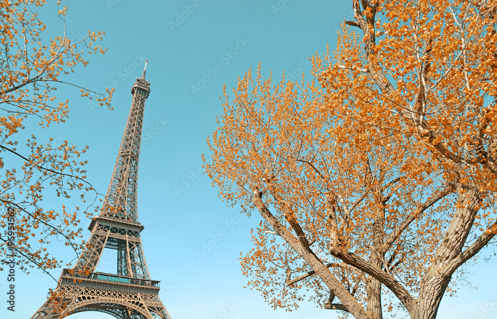 Eiffel tower and golden autumnal trees