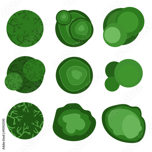 trees top view for landscape design. Vector illustration