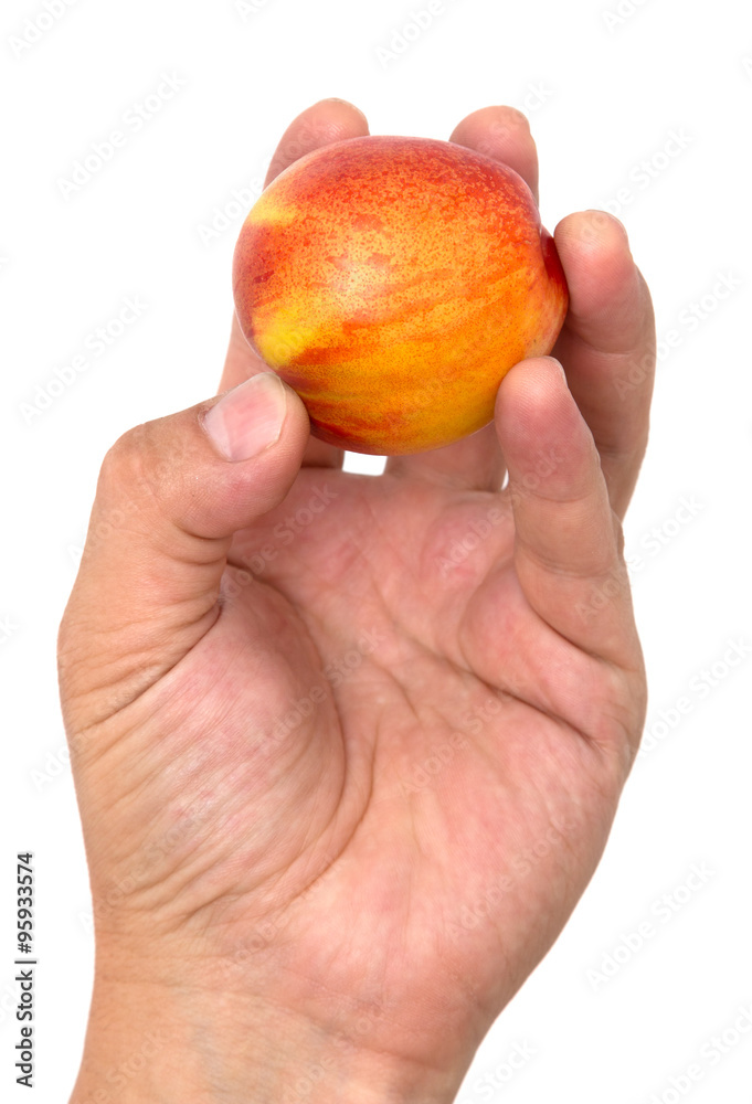 Peach in hand