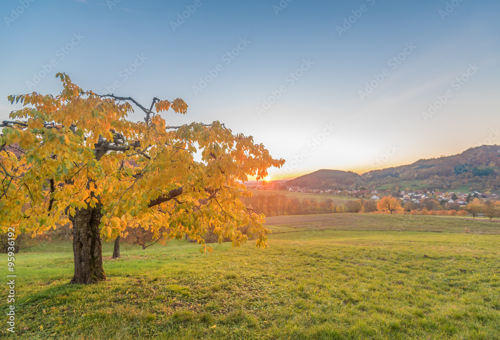Apfelbaum, Sonnenuntergang in der Fränkischen Schweiz Apfelbaum, Sonnenuntergang in der Fränkischen Schweiz