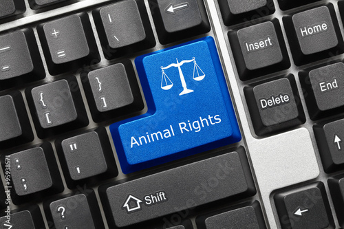 Conceptual keyboard - Animal Rights (blue key)