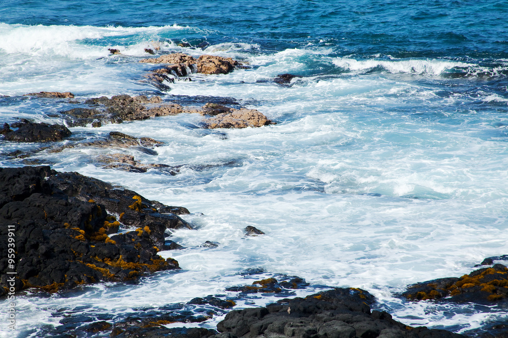 Fototapeta premium Hawaii coast