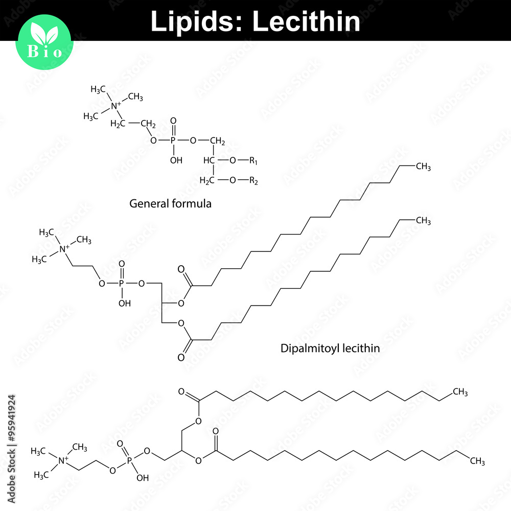 Lecithin chemical structure