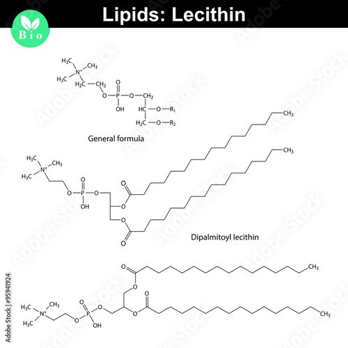 Lecithin chemical structure
