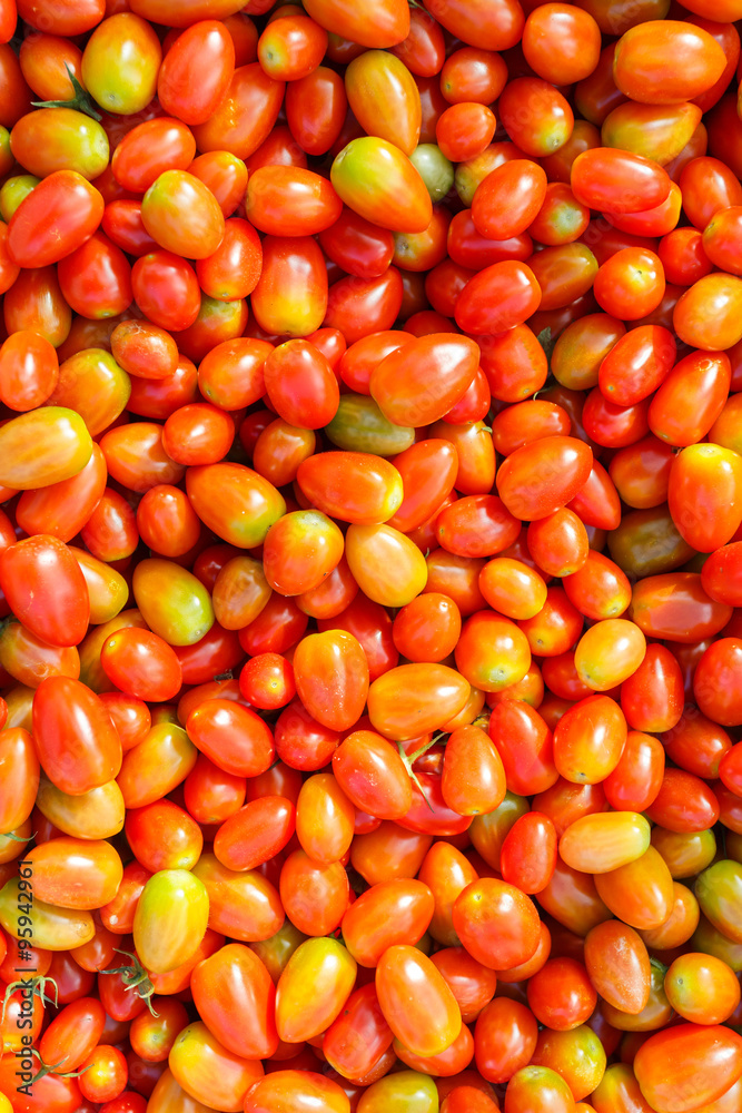 Solanum lycopersicum tomatoes Solanum lycopersicum tomatoes