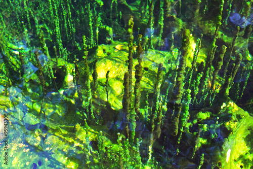 Stalagmites in Hot Springs