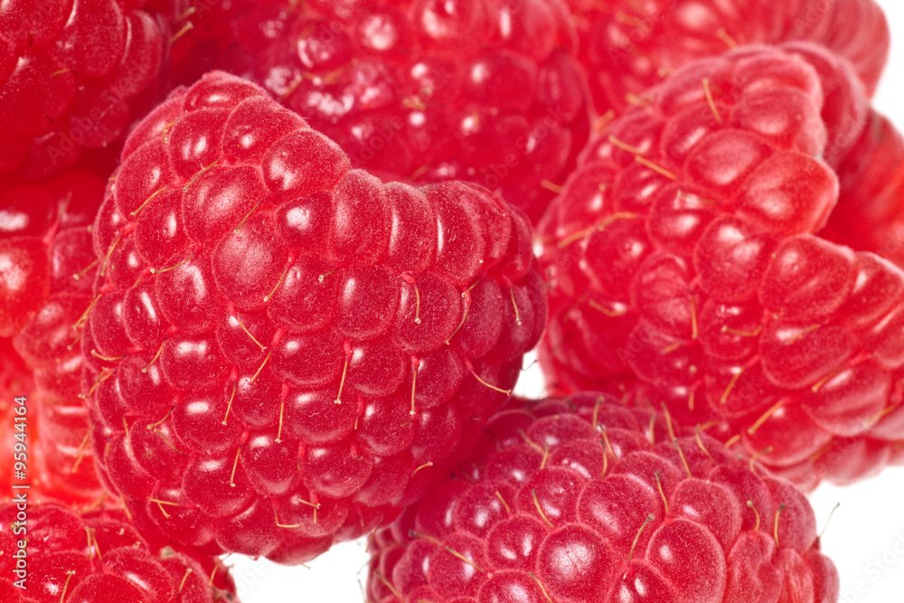 raspberry isolated raspberry isolated