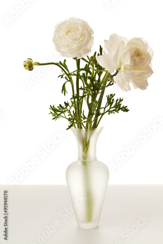 Wallpaper Mural White Ranunculus in Vase Isolated on a White Background Torontodigital.ca