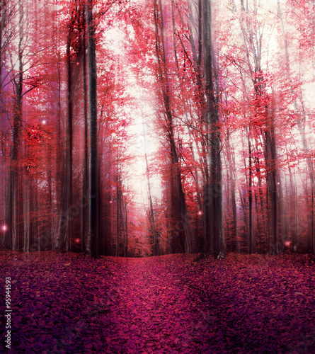 Red Magic Misty Forest with Mysterious Lights