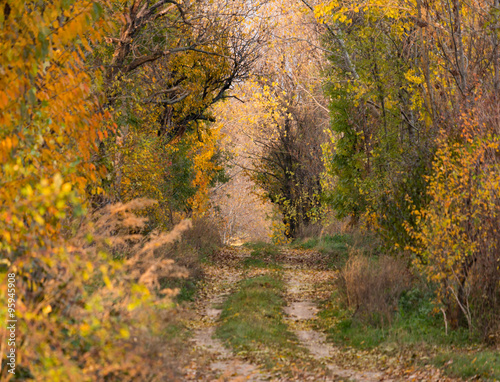 Slovakia in autumn © Samuel