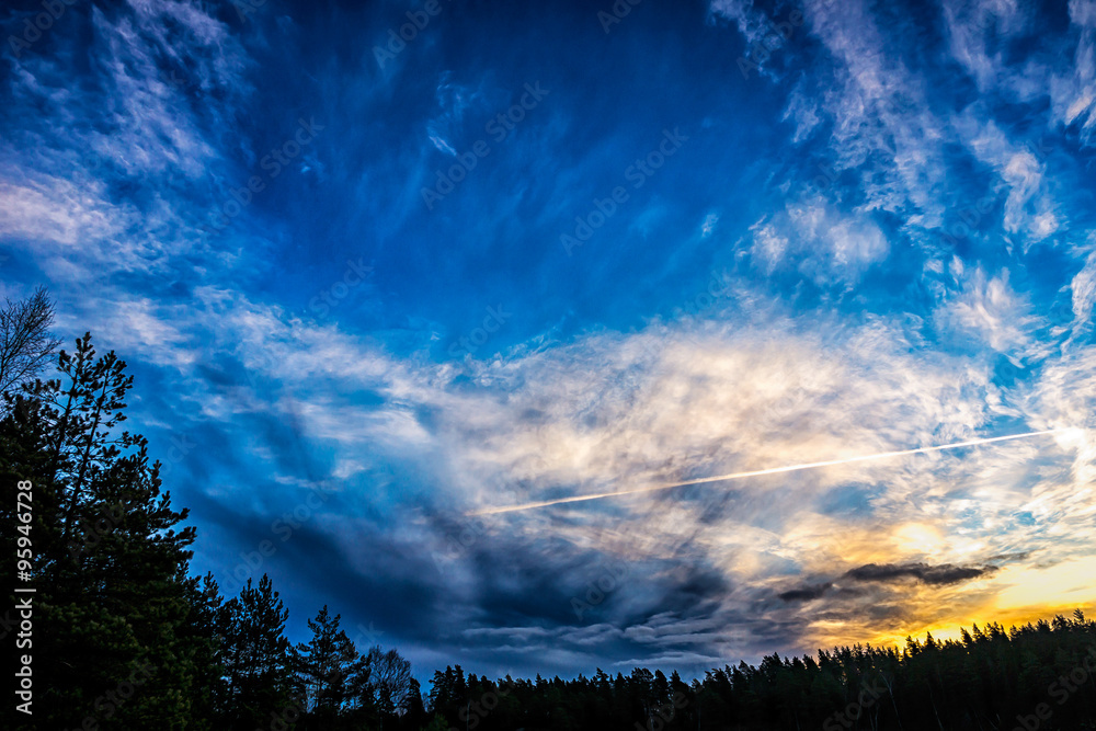Fototapeta premium amazing sunrise sky against dark tree line