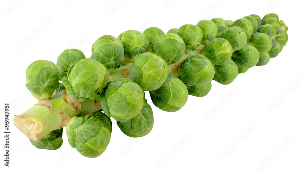 Brussels Sprout Stalks Brussels Sprout Stalks