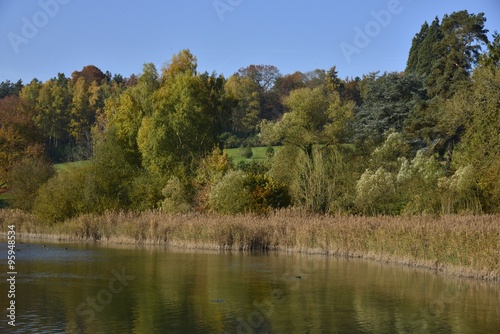 La nature en automne ,le long des berges de l'étang du Gris Moulin à la Hulpe