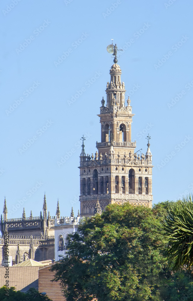 Fototapeta premium Giralda Sevilla