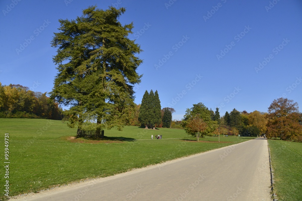 Chemin principal traversant l'une des grandes pelouses du parc Solvay de la Hulpe Chemin principal traversant l'une des grandes pelouses du parc Solvay de la Hulpe