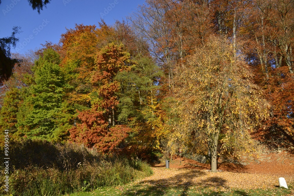 Les couleurs magiques des feuillages des arbres au parc Solvay de la Hulpe