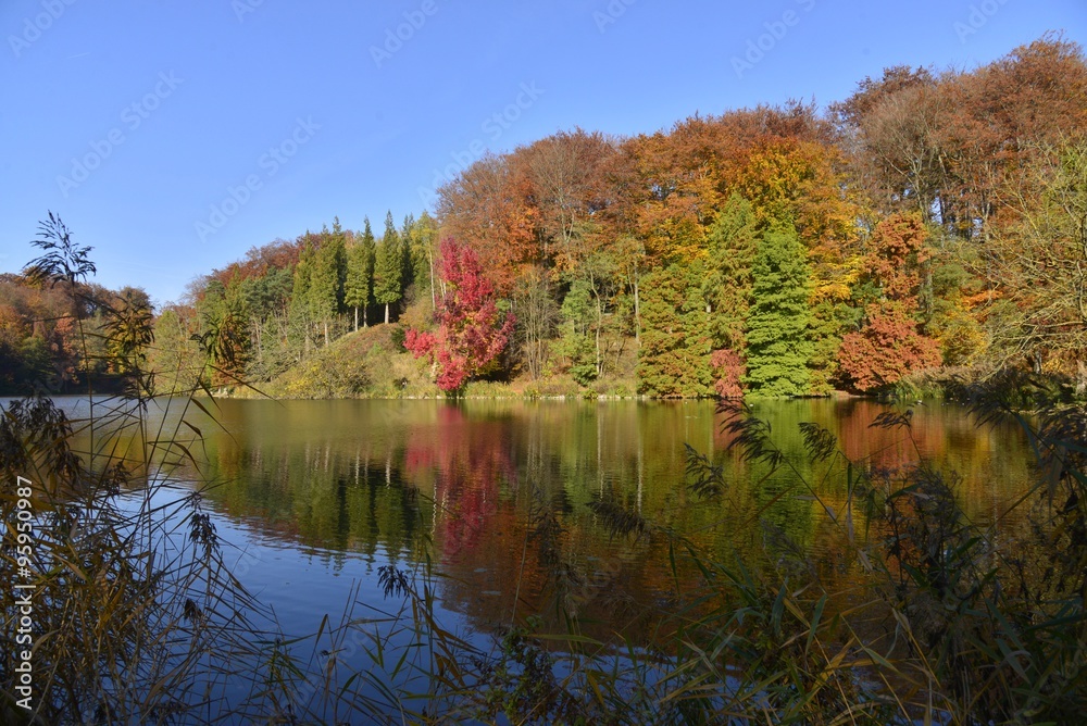 La beauté magique des couleurs automnales à l'étang de la Longue Queue au parc Solvay de la Hulpe