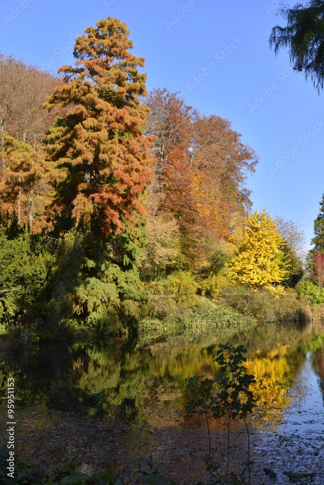 Les couleurs magiques de l'automne au petit étang  au parc Solvay de la Hulpe