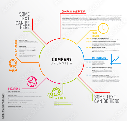 Vector Company infographic overview design template