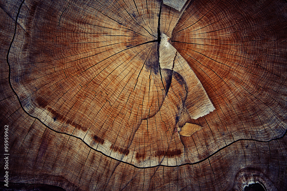 wood cut texture ring