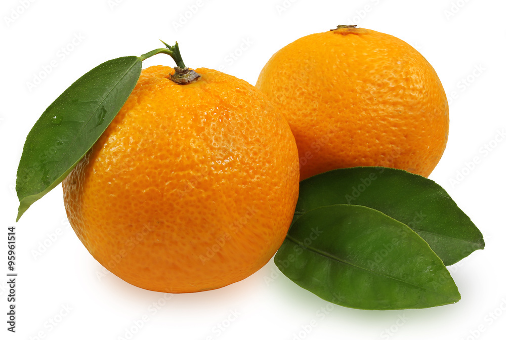 tangerines with leaves tangerines with leaves